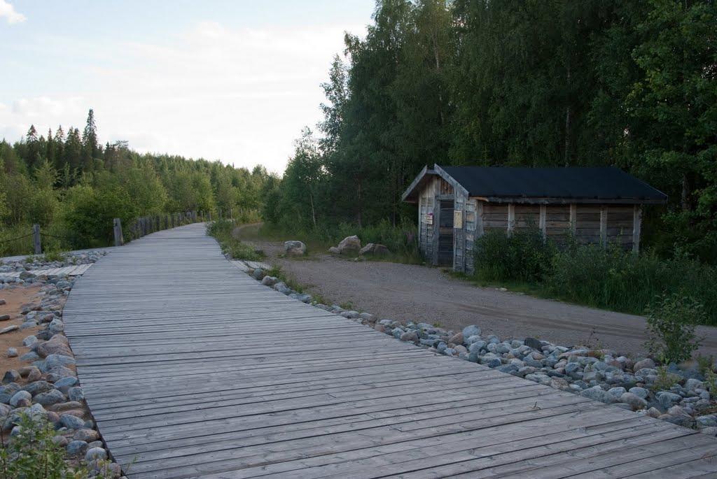 Scandinavian Dream Cottages Vikajarvi- Rovaniemi Ngoại thất bức ảnh